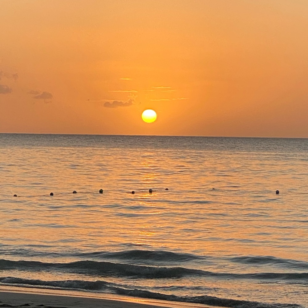 Meet your Posher, Janice